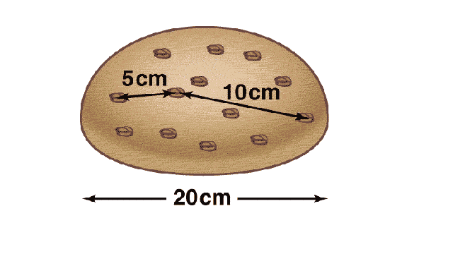 redshift distance raisin bread